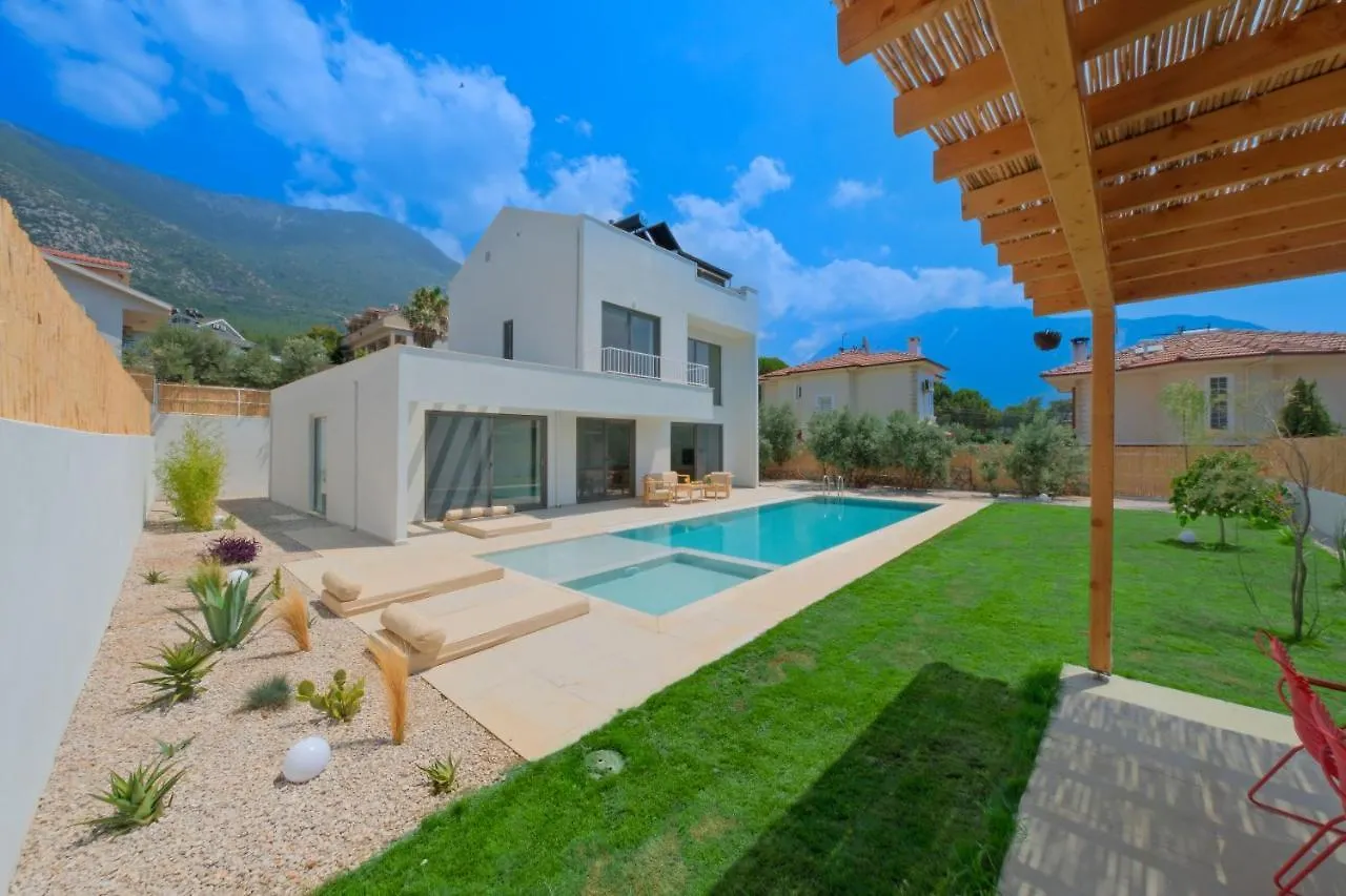 Villa Neo With 2 Private Pools, Bbq, Jacuzzi And Sauna Fethiye 0*,