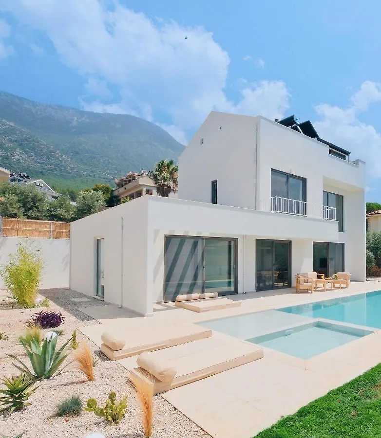 Villa Neo With 2 Private Pools, Bbq, Jacuzzi And Sauna 페티예 터키